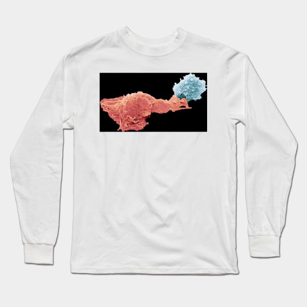 Antigen presentation, SEM (C024/3640) Long Sleeve T-Shirt by SciencePhoto